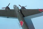 38_P1Y1 Ginga_1453.JPG