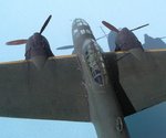 39_P1Y1 Ginga_1454.JPG