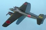 46_P1Y1 Ginga_1461.JPG