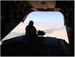 335cq5s.jpg