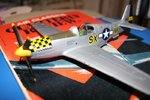 DSC01419.jpg