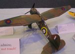 90+Lysander_0611.JPG