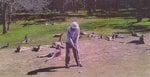 Golf.jpg