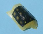 Rear Canopy Glossed_1938.JPG