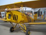 Tigermoth1.jpg