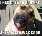 anesthesia.jpg