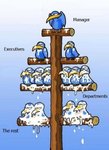 Organization Chart.jpg
