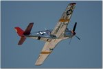 DSC07183.jpg