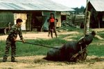 Buffalo_Sacrifice_11.jpg