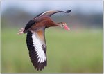 1285774356PXsSJKu.jpg