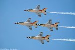 Tbirds_EVG_7231.jpg