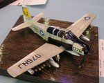 5_Skyraider_0071.JPG