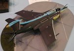 6_Buccaneer_0111.JPG