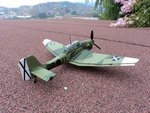 DSC00203.jpg