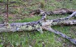 101012-1R.jpg 101012-1R.jpg