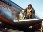 Duffy dog P51.jpg