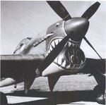 sharky MR-U.jpg