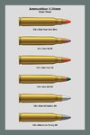 Ammo_Chart_556_3_Dev.jpg