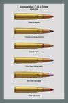 Ammo_Chart_762_51_1_Dev.jpg