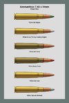 Ammo_Chart_762_51_2_Dev.jpg