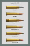 Ammo_Chart_303_1_Dev.jpg