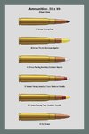 Ammo_Chart_050_99_1_Dev.jpg