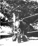 Polikarpov I-15 Chato 0018.jpg