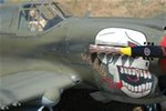 vinny_p40_-_dave_b25_003 (WinCE) (4) (Medium) (Medium).jpg