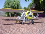 DSC03843.jpg