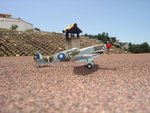 DSC04394.jpg
