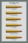 Ammo_Chart_556_1_Dev.jpg