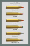 Ammo_Chart_556_3_Dev.jpg