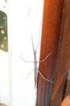 IMG_6166.jpg