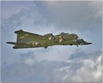 B17.jpg