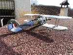 DSC00462.jpg