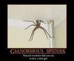 gianormous-spiders.jpg