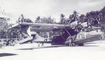 Catalina Kiwi 2.jpg