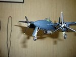 DSC02767.jpg