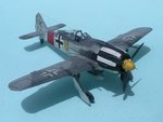 6_Fw190A-8_3168.JPG