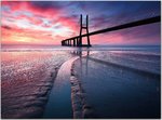 1290717319N7xfxK6.jpg
