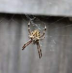 101207-1A.jpg