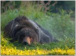 National-Geographic-Photography-Contest-2010-4.jpg