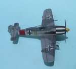 12_Fw190A-8_3178.JPG