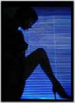 silhouettebleu.jpg