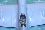 101211 Wing from Top.jpg