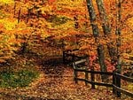 mccormick_creek_state_park__indiana_120.jpg