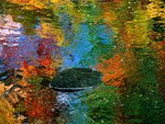 reflections_of_autumn__maine_115.jpg