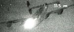 fw190_guncamera_128.jpg