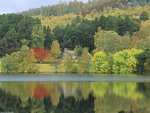 tranquil_waters__loch_of_eileen__scotland_105.jpg