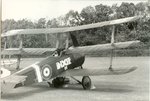 sopwith_triplane_100.jpg